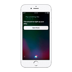 iPhone 6s Rosa - Fale com a Siri iPhone 6s Rosa Siri