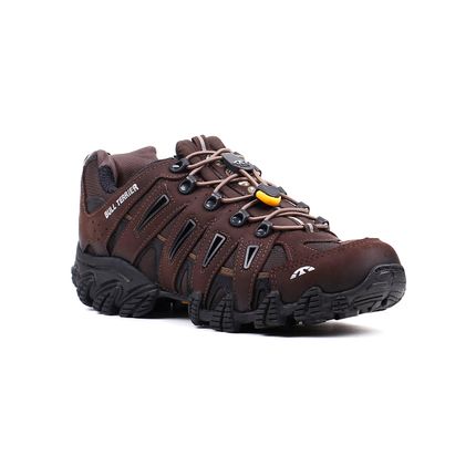 tenis bull terrier dragon 2