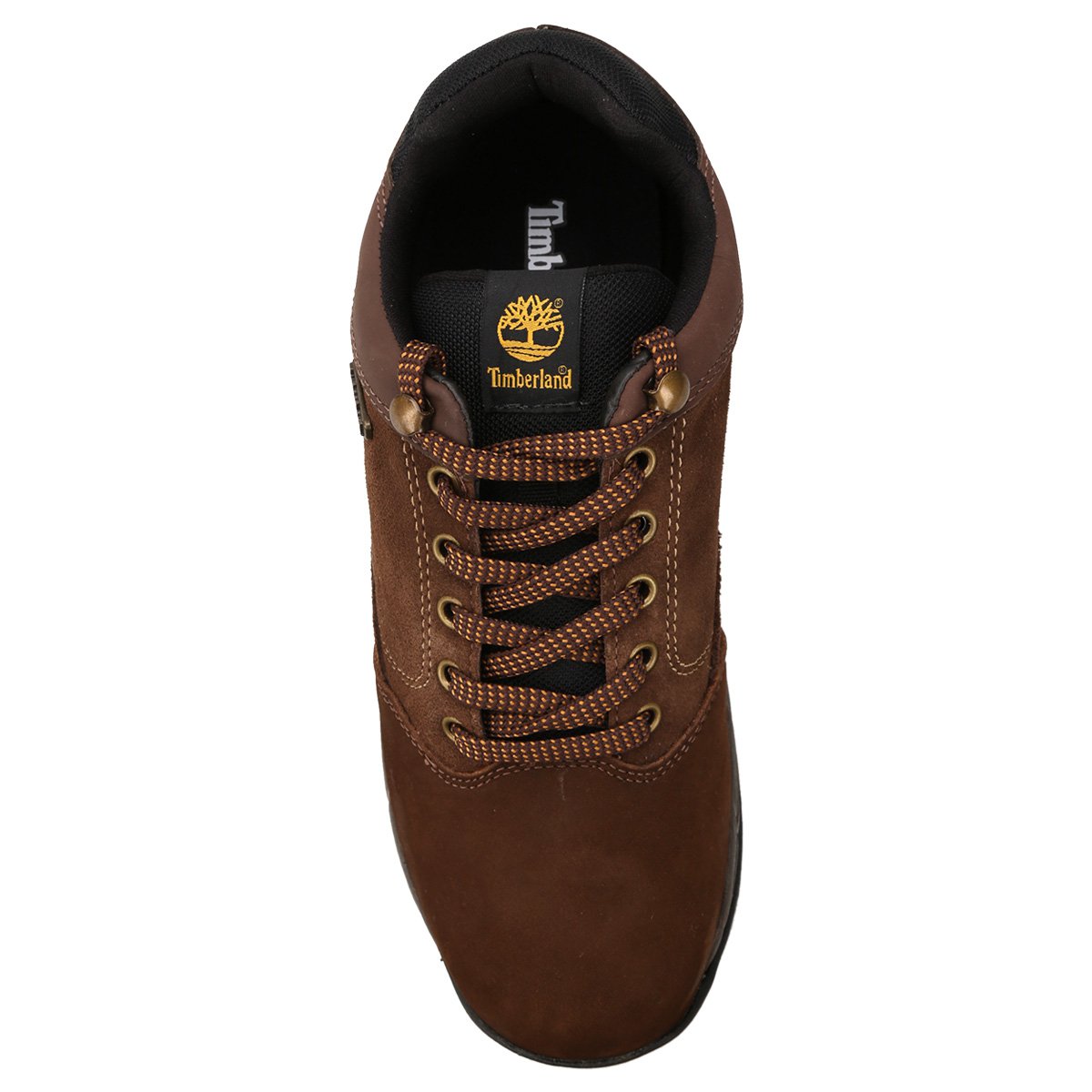 tenis timberland expedition