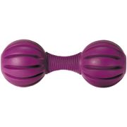 Brinquedo para Cachorro Osso de Borracha - Busy Buddy Waggle PetSafe