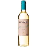 Vinho Branco Argentino Benjamin Nieto Senetiner Suave 750ml